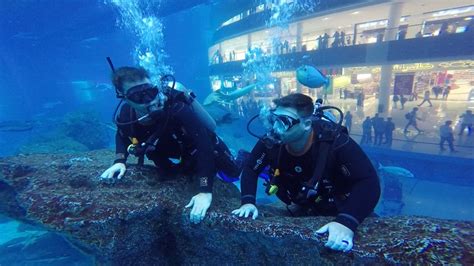 Scuba Diving in the Dubai Aquarium at the Dubai Mall - UponArriving