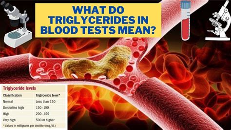 Triglyceride Level Test - What do triglycerides in blood tests mean ...