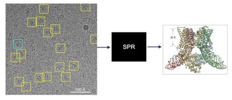 Welcome | Cryo-EM Principles