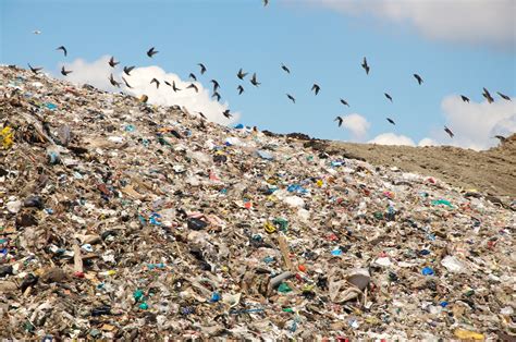 Controlling Costs Through Innovative Waste Management and Reduction Programs