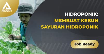 Hidroponik: Membuat Kebun Sayuran Hidroponik