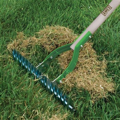 5 essential lawn care tools - Grass Maintenance Care