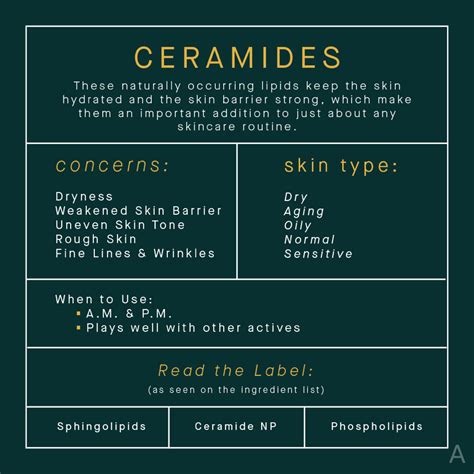 Read The Label: All Of Your Ceramide Questions Answered | The AEDITION