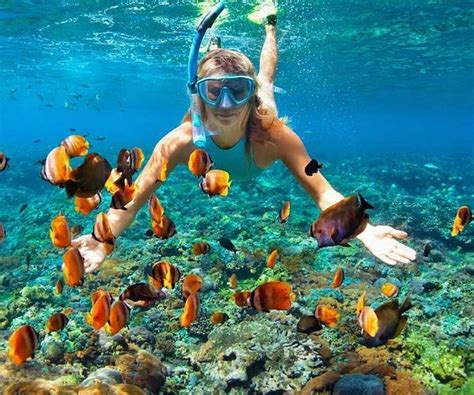 Top 7 reasons to snorkel the Galapagos Islands https://www ...