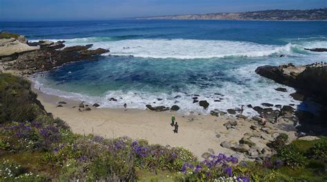 La Jolla Cove Tours - Book Now | Expedia