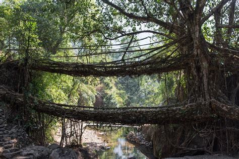 Treks and travels: Trek to Double decker root bridge at Cherrapunji