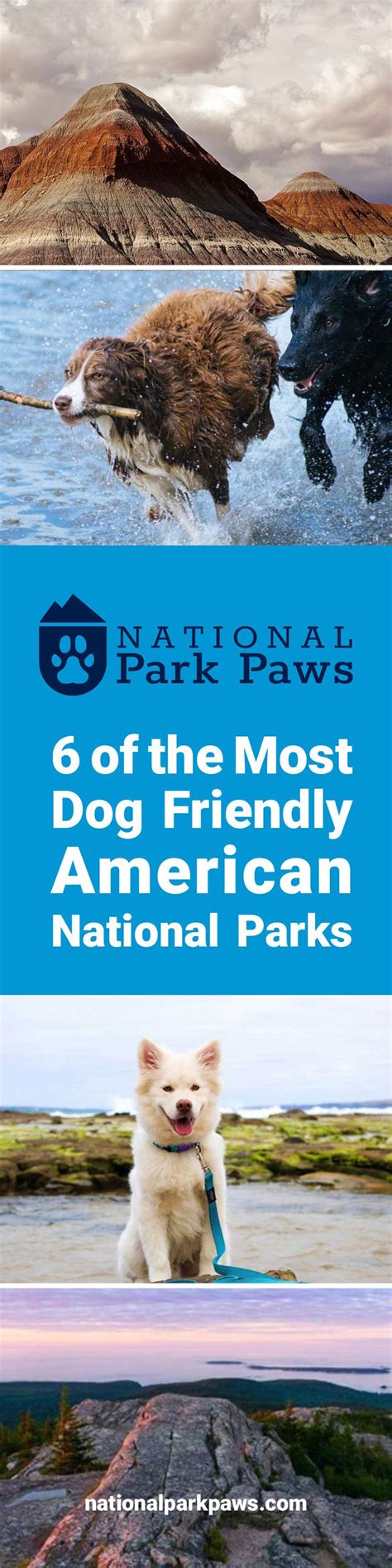 6 of the Most Dog Friendly American National Parks | American national parks, Dog friends ...