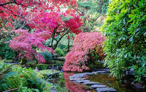 3 of the Best Gardens to Visit in Victoria, BC - Hike Bike Travel