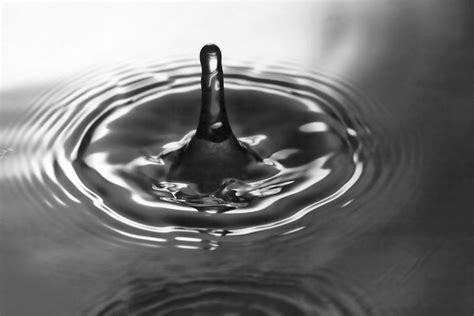 Water Splash In Black And White Photograph by Kathy Clark