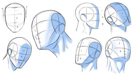 How to Draw Heads - Dividing it Into Thirds | Drawing heads, Draw heads ...