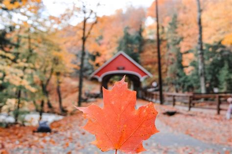 Fall In New Hampshire: 31 Best Foliage Spots & Things To Do (2024) - New England Wanderlust