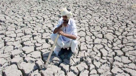 India lost $87 bn last year due to natural calamities: WMO | Mint