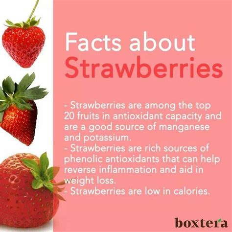 Stawberries | Strawberry nutrition facts, Strawberry, Spinach nutrition facts