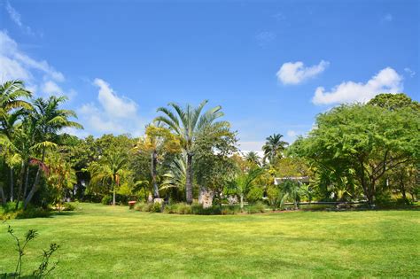 Miami Beach Botanical Garden - Discover a Vibrant Urban Green Space - Go Guides