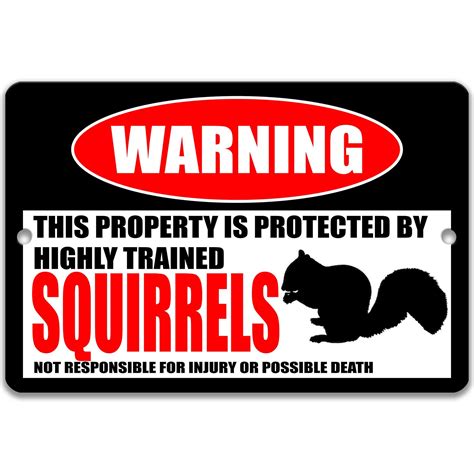 Funny Squirrel Sign Protected by Squirrels Animal Decor Pet - Etsy