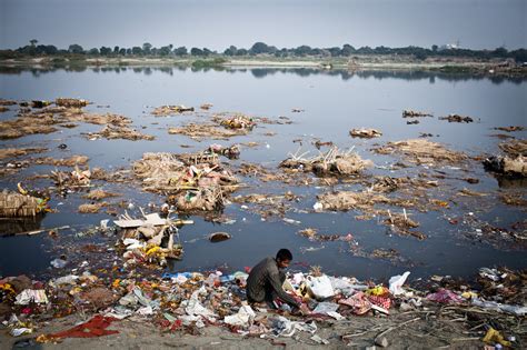 Alarm Over India’s Dengue Fever Epidemic - The New York Times