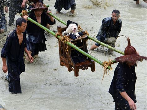 Dog Carrying Day: Chinese village celebrates annual tradition by ...