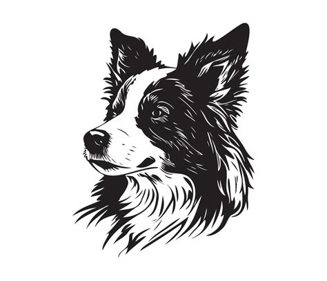 border collie Face, Silhouette Dog Face, black and white border collie ...