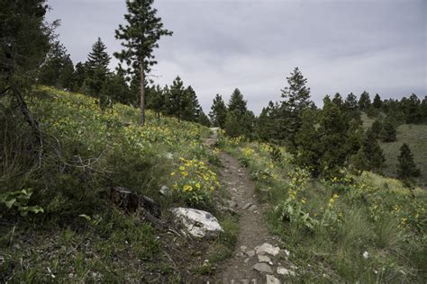 Mount Ascension Hiking Trail in Helena image - Free stock photo ...