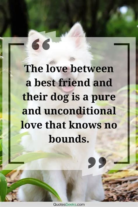 Best Friend Dog Love Quotes | QuotesGeeks