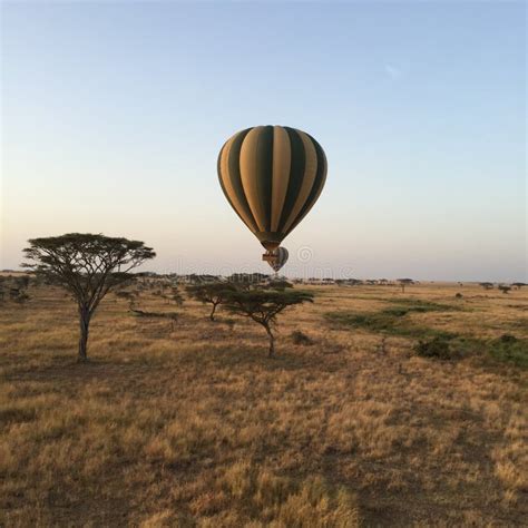 Balloon Ride Over the Serengeti Stock Image - Image of balloon, ride: 58957009