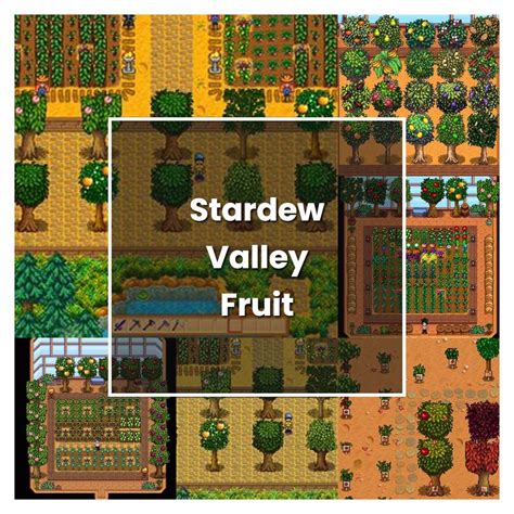 How to Grow Stardew Valley Fruit Trees - Plant Care & Tips | NorwichGardener