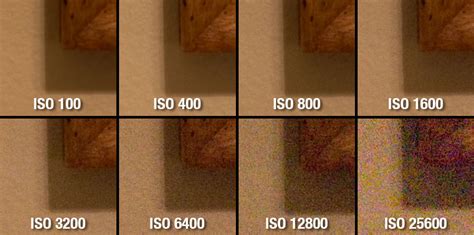 Camera ISO Basics: A Guide for Beginners