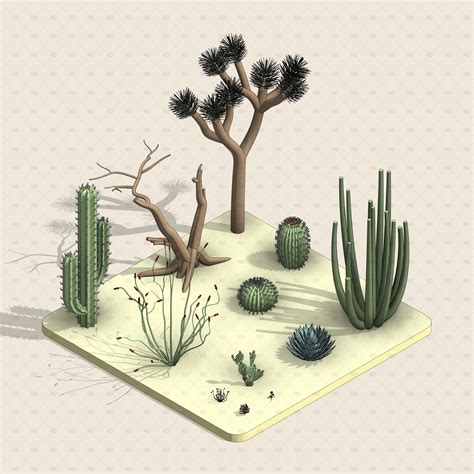 Desert Plants