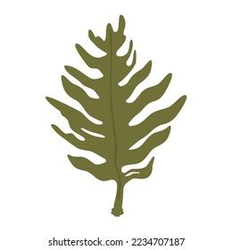 Vector Illustration Seaweed White Background Stock Vector (Royalty Free) 2234707187 | Shutterstock