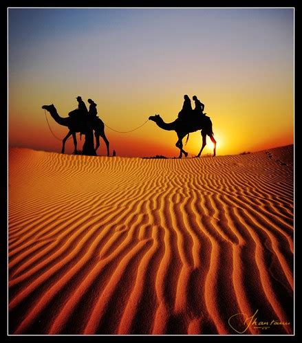 Desert Safari | Jaisalmer nicknamed "The Golden City", is a … | Flickr