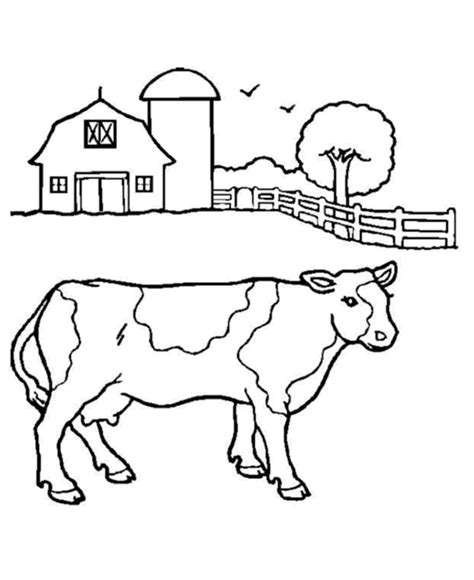 Cute Cow Drawings - Cliparts.co