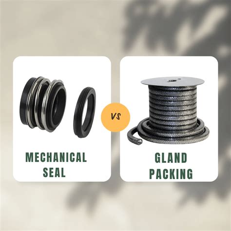 Difference Between Mechanical Seal And Gland Packing - MDM Tool Supply