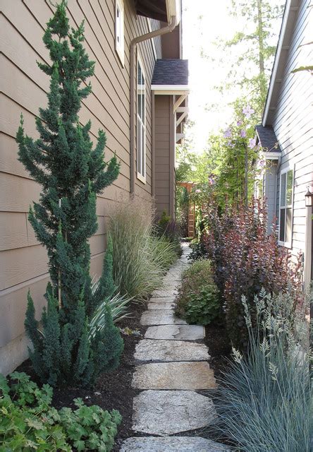 narrow trees for narrow gardens - Landscape - Seattle - by Le jardinet