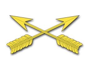 Army Special Forces Insignia