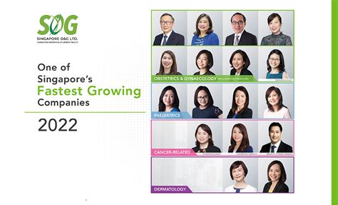 Top 75 Singapore's Fastest Growing Companies in 2022 by The Straits Times and Statista - SOG ...