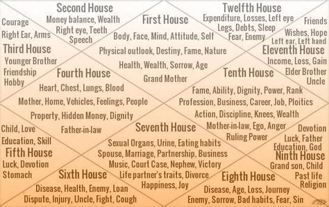 Astrology chart houses - gcdax