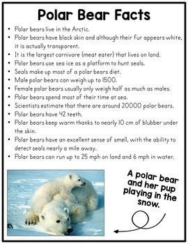 Winter Science - Polar Bear Blubber | Polar bear, Polar bear facts, Polar bears activities