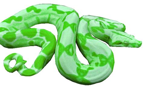 animated snake png gif - Clip Art Library