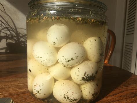 Fermented eggs anyone? : r/fermentation