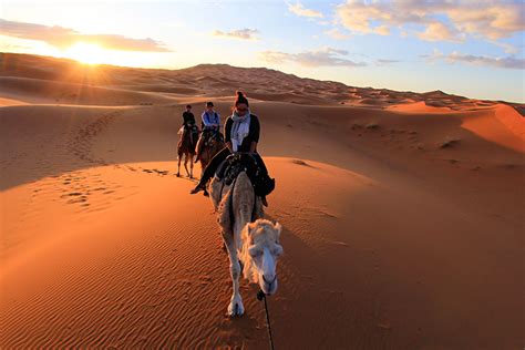 Arabian Nights: Camel Trekking into the Desert | The WANDERLUSTers