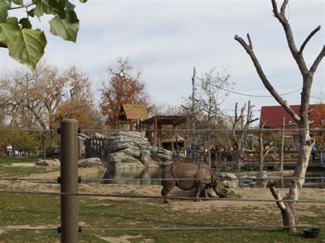 Denver Zoo – Denver, CO