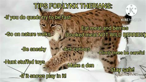 🐈🌿 Tips for Lynx Therians! 🌿🐈 || Read desc - YouTube