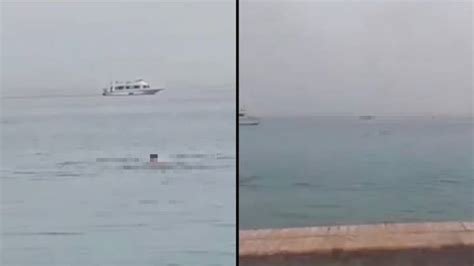 Man mauled to death and eaten by shark off Egyptian tourist resort