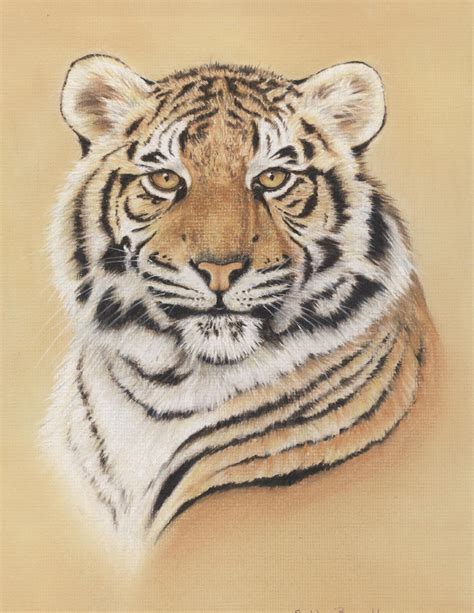 How To Draw a Tiger using Pastel Pencils — The Colin Bradley School of Art