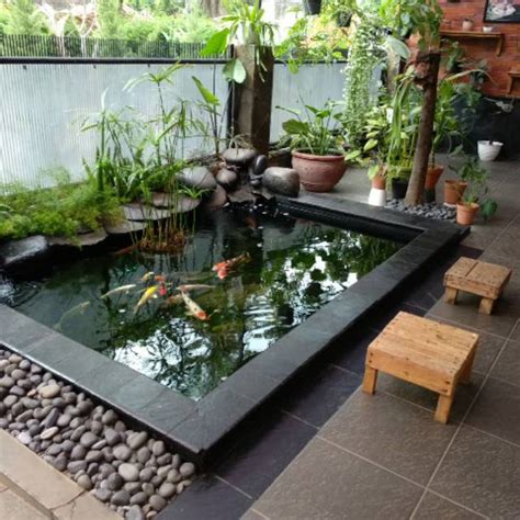 Jual Kolam koi ikan hias Indonesia|Shopee Indonesia