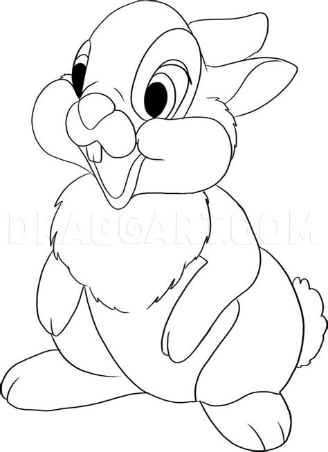 How To Draw Thumper From Bambi, Step by Step, Drawing Guide, by Dawn ...