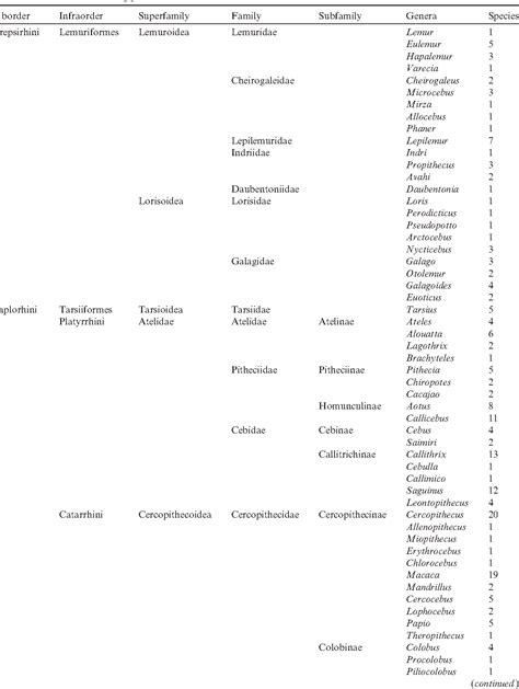 Primate Taxonomy Chart: A Visual Reference of Charts | Chart Master