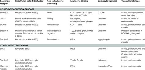 | Summary of endothelial-expressed scavenger receptor function,... | Download Table