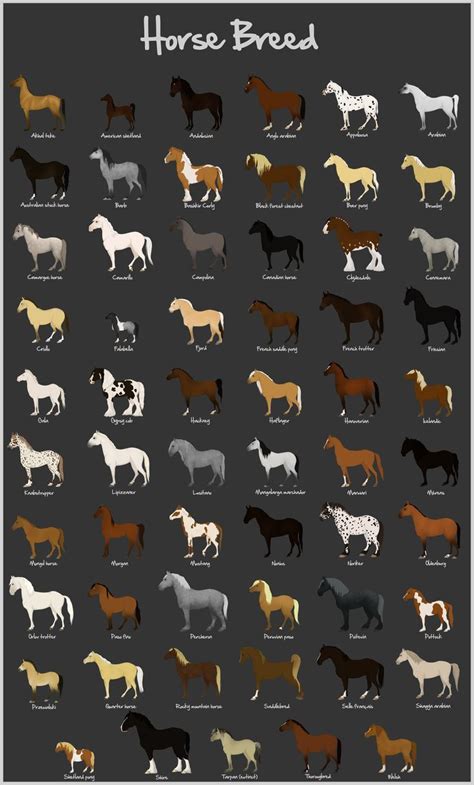 Horse Breeds chart... there are a lot more breeds but this is pretty comprehensive, with a lot ...