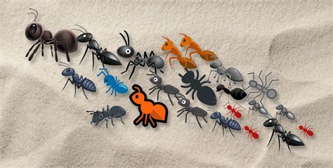 An entomologist critiques ant emojis | Spiria